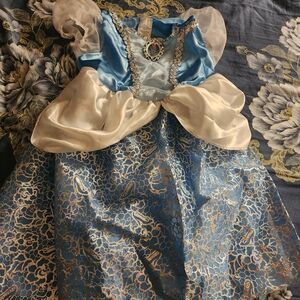 Elegant Blue and White Kids Princess Costume